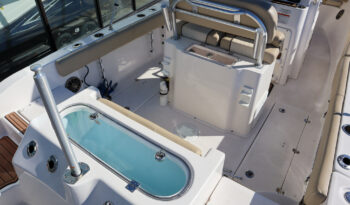 2017 Sea Fox 266 Commander full