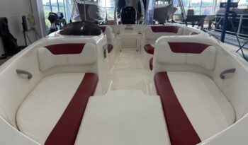2015 Bayliner Element 180XL full