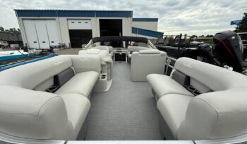 2021 SunChaser Vista 20 full