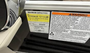 2021 SunChaser Vista 20 full