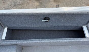2022 Yamaha G3 Angler V164 full
