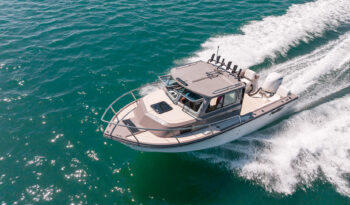 2026 Parker 217 Explorer full