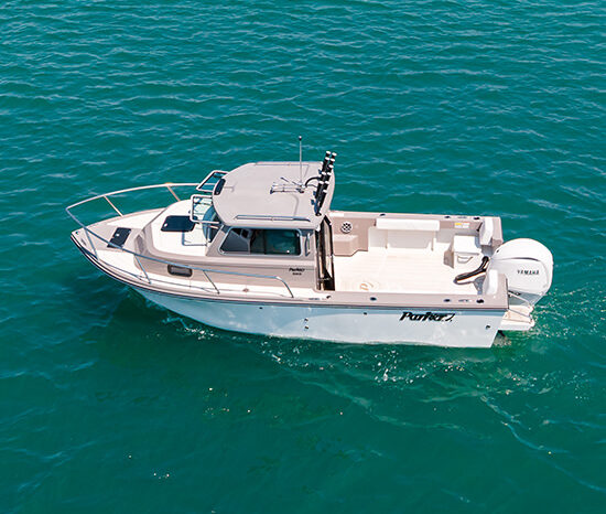 2026 Parker 217 Explorer full