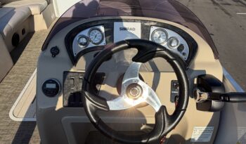 2019 Suncatcher V322C full