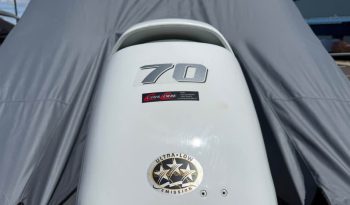 2021 Kingfisher 1625 Falcon full