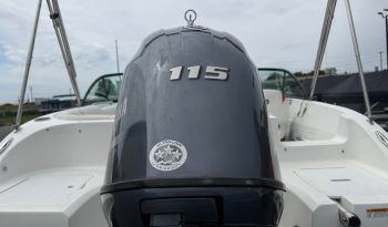 2019 Hurricane SunDeck 187 full